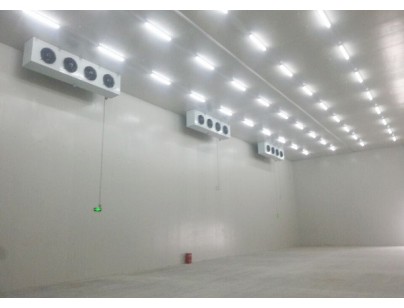友達(dá)光電（廈門）低溫電子防爆冷庫(kù)工程建造方案