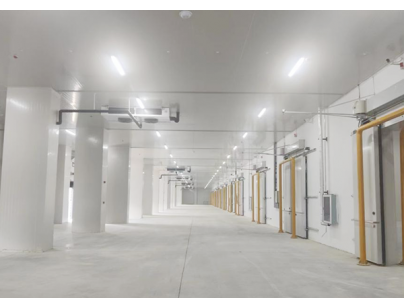 武漢長發(fā)永來冷鏈物流現(xiàn)代化高標(biāo)變溫冷庫規(guī)劃設(shè)計建造項目