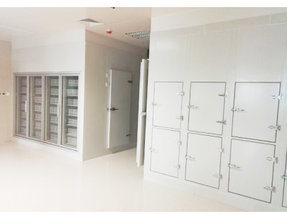 上海新興醫(yī)藥1200立方米血漿冷庫(kù)（低溫醫(yī)藥冷凍庫(kù)）安裝工程