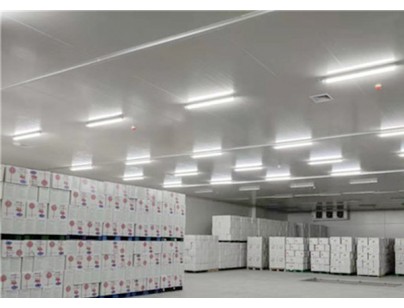 河北尚品（澳門）15000m3倉儲物流低溫冷藏冷凍庫建造方案