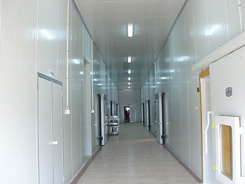 大型冷庫建設成本需要多少錢一平米？