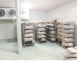 屠宰冷庫(kù)價(jià)格多少錢一平方米？