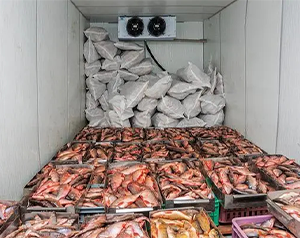 海鮮低溫冷庫(kù)安裝全套報(bào)價(jià)清單多少錢(qián)？海鮮冷庫(kù)造價(jià)表