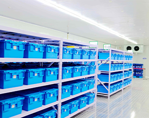 小型體外診斷試劑冷藏庫(kù)建造廠家及溫度控制標(biāo)準(zhǔn)