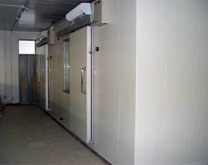 建設(shè)一個(gè)萬(wàn)噸冷藏庫(kù)投資費(fèi)用需要多少？