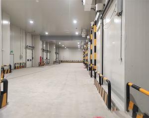 上海建5000噸蘋果保鮮冷藏庫(kù)造價(jià)預(yù)算是多少？