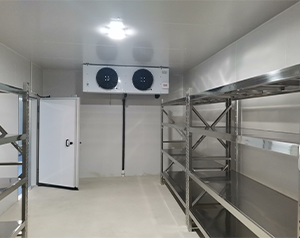 零下80度超低溫冷庫(kù)的關(guān)鍵設(shè)計(jì)要點(diǎn)