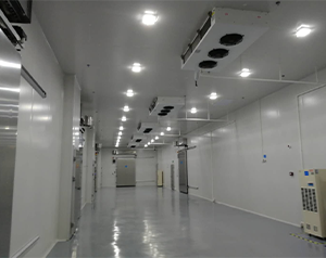 醫(yī)藥冷庫建造這些您了解嗎？藥品冷庫建設多少錢