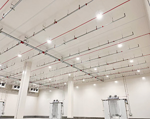 冷庫(kù)內(nèi)部圖片展示