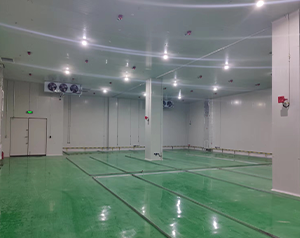 鋰電防爆冷庫設(shè)計安裝方案