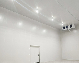 食物冷凍溫度是多少？