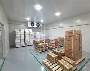 疾控中心50m&sup3;醫(yī)用低溫倉庫GSP認(rèn)證及建設(shè)標(biāo)準(zhǔn)