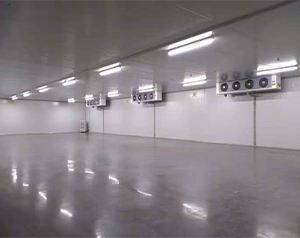 廣州2-8℃疾控中心冷庫(kù)（疫苗冷藏庫(kù)）定制預(yù)算多少錢(qián)