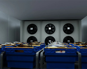 5000平米第三方物流冷庫(kù)，低溫倉(cāng)儲(chǔ)生鮮冷庫(kù)建造成本多少