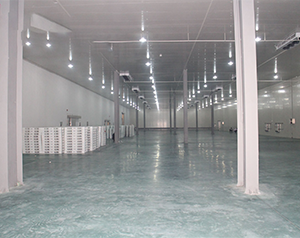 建造一個生鮮冷庫需要多少錢？