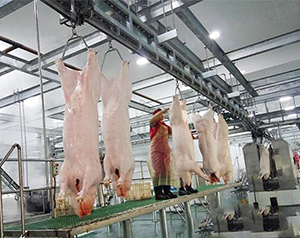 豬肉加工廠冷庫如何進(jìn)行設(shè)計(jì)建造？