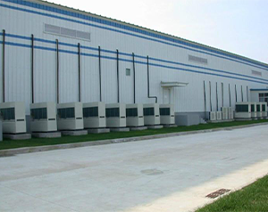 雞蛋在氣調(diào)庫能放多久?探索禽蛋氣調(diào)庫的保鮮技術(shù)？