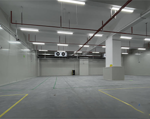 建200噸氣調(diào)庫多少錢？存放葡萄、獼猴桃