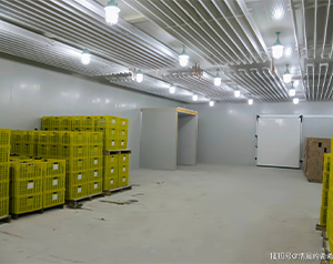 100噸蔬菜保鮮庫(kù)報(bào)價(jià)需要多少錢(qián)？