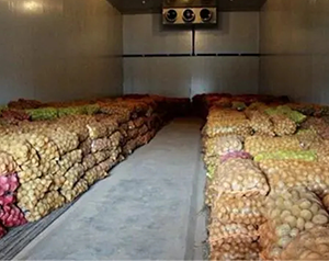 0-5℃果蔬保鮮冷庫造價需要多少錢？蔬菜冷庫設(shè)計