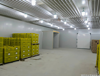 500噸蔬菜保鮮冷庫造價(jià)多少錢