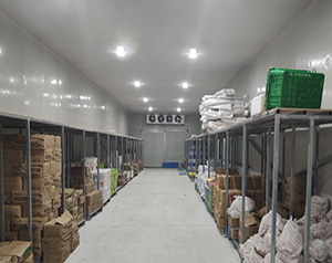 四川省凍庫(kù)安裝造價(jià)