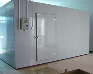 船舶冷庫設計規(guī)范標準要求是什么