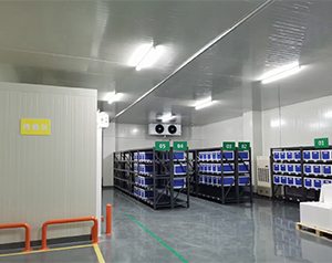 醫(yī)藥凈化冷庫(kù)建造成本多少錢