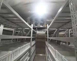 超低溫冷庫(kù),超低溫冷庫(kù)廠家,超低溫冷庫(kù)制作,冷庫(kù)制作廠家