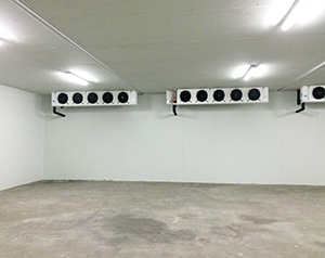 水產(chǎn)冷庫造價標準多少錢？水產(chǎn)海鮮冷庫定制安裝方案