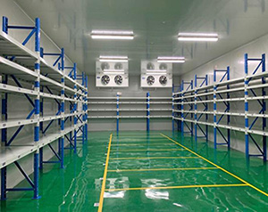 企業(yè)中的部分危險化學品為什么要放冷庫