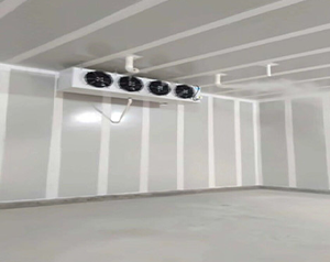 新疆葡萄氣調(diào)保鮮冷庫(kù)型號(hào)如何選擇？