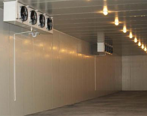 江蘇保鮮冷庫(kù)設(shè)計(jì)多少錢(qián)一平方？