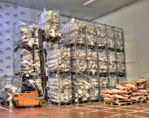 建造一個(gè)10噸的肉品冷凍庫多少錢？