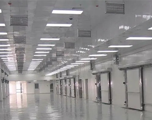 海南5000立方蔬菜物流冷庫造價多少錢？