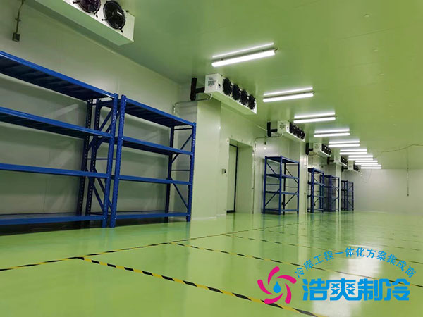 制藥廠醫(yī)藥冷庫(kù)建設(shè)