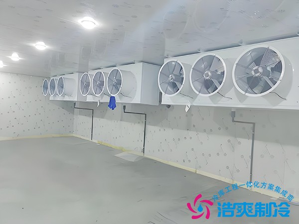 建造速凍庫多少錢一個平方？