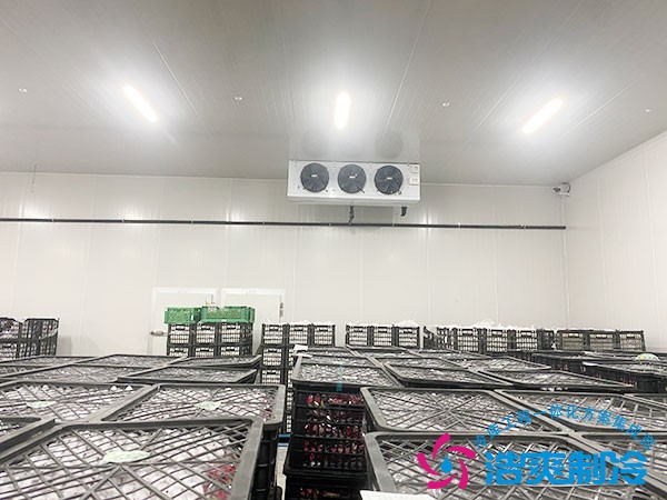 保鮮庫(kù)建造多少錢