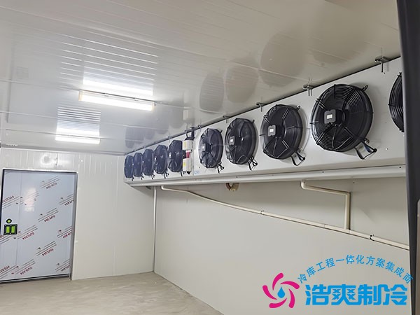 速凍冷庫(kù)多少錢(qián)
