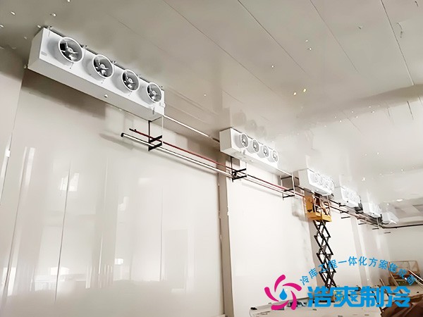 柑橘凍庫設(shè)計