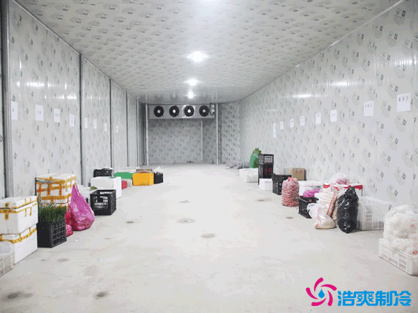 500噸組裝式低溫冷藏庫（冷凍庫）造價