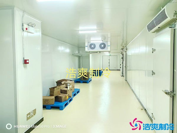 儲存疫苗的企業(yè)獨立冷庫有幾個？生物疫苗冷庫造價