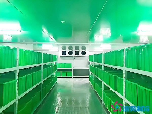 藥品批發(fā)企業(yè)冷藏庫平方面積要求多少？1000平藥企冷庫造價(jià)