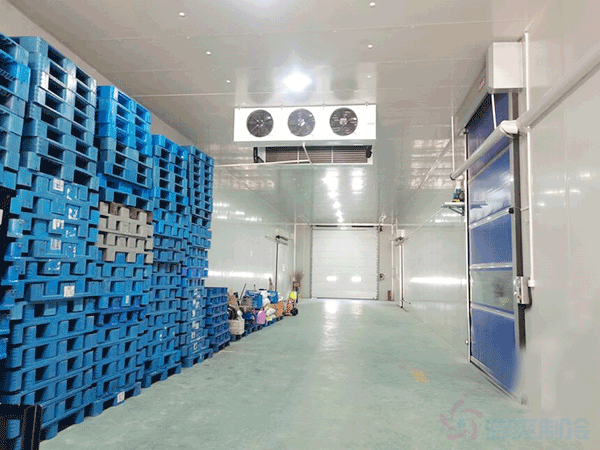 箭齒鰈魚片冷藏庫儲(chǔ)藏條件，箭齒鰈魚冷庫溫度要求