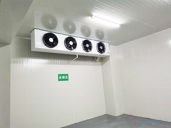 獸用生物制品冷庫面積需要建多大？造價(jià)預(yù)算多少錢