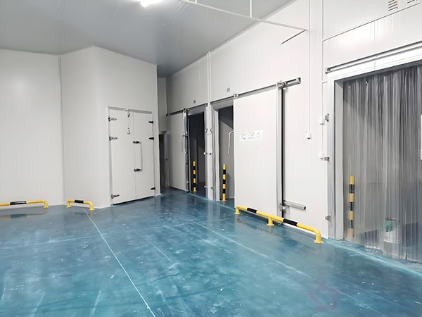 上海生物醫(yī)藥冷庫(kù)安裝造價(jià)多少錢(qián)？