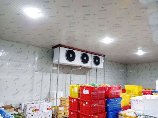 蘋果冷藏庫建設(shè)費用一平方多少錢?