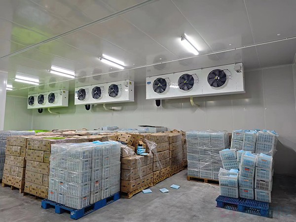 大型工業(yè)藥品冷庫(kù)建設(shè)安裝價(jià)格大概多少錢？