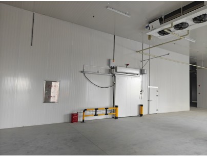四川眉山35000立方米食品儲(chǔ)藏加工配套冷鏈物流冷庫建造工程