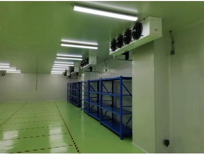 成都康諾亞一橋生物科技公司創(chuàng)新醫(yī)藥冷庫(kù)建設(shè)工程案例